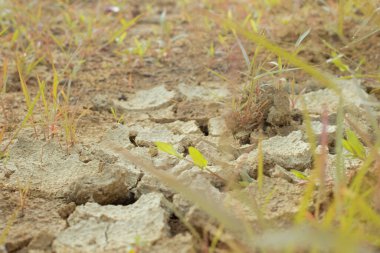 Kuraklıktan dolayı toprak yüzeyinin kızılötesi görüntüsü..