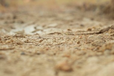 Kuraklıktan dolayı toprak yüzeyinin kızılötesi görüntüsü..