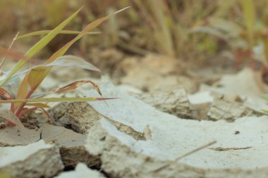 Kuraklıktan dolayı toprak yüzeyinin kızılötesi görüntüsü..