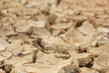 Kuraklıktan dolayı toprak yüzeyinin kızılötesi görüntüsü..