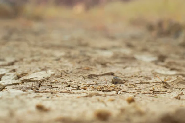 stock image Infrared image of the earth surface soil crack due to the drought.