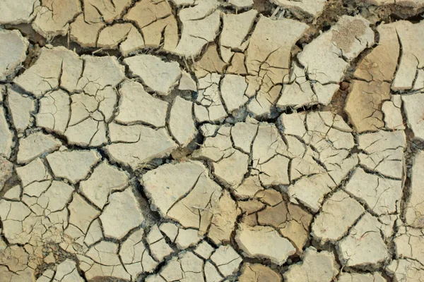 Infrarood Beeld Van Het Aardoppervlak Scheur Als Gevolg Van Droogte — Stockfoto