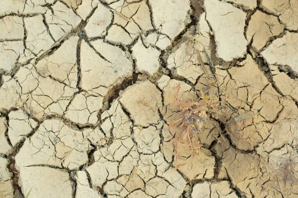 干ばつによる地表土の亀裂の赤外線像 — ストック写真