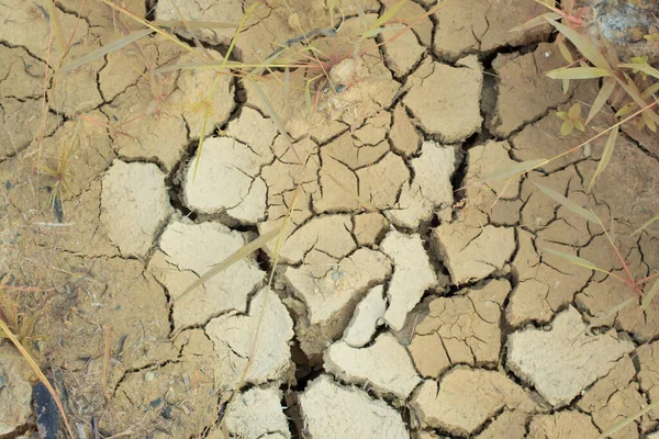Infrarotbild Der Erdoberfläche Bodenrisse Aufgrund Der Trockenheit — Stockfoto
