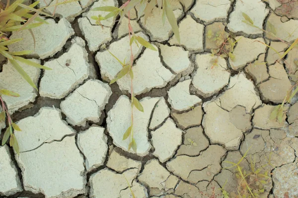 干旱引起的地表土壤裂缝的红外图像 — 图库照片