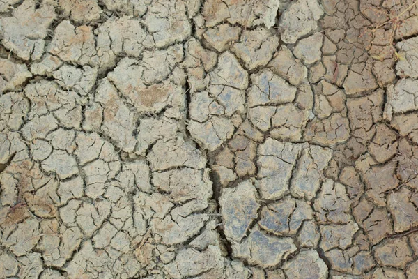 干ばつによる地表土の亀裂の赤外線像 — ストック写真