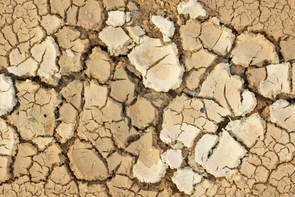 Imagen Infrarroja Grieta Superficial Del Suelo Debido Sequía —  Fotos de Stock