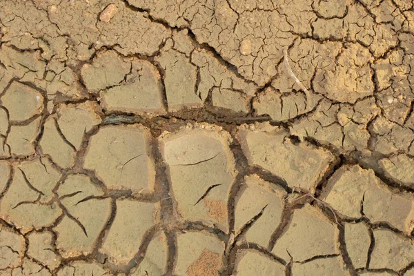 Imagen Infrarroja Grieta Superficial Del Suelo Debido Sequía —  Fotos de Stock
