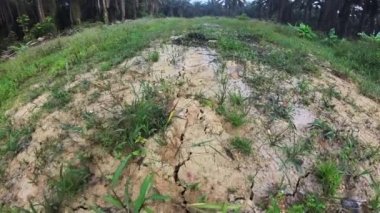 Dünya yüzeyinin kuruyan ve çatlayan toprağının görüntüleri.. 