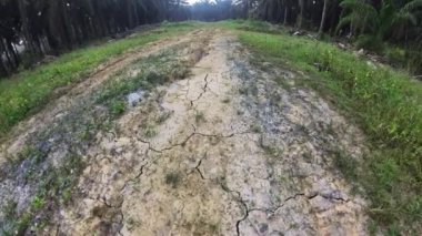 Dünya yüzeyinin kuruyan ve çatlayan toprağının görüntüleri.. 