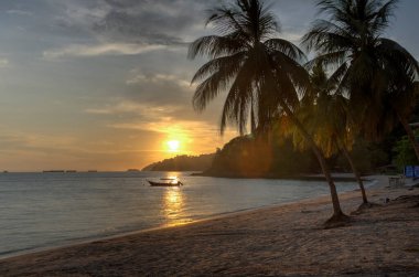 Hindistan cevizi ağaçları boyunca gün batımı sahilde.