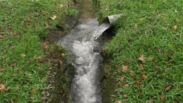 聚氯乙烯灰管涌出淡水流入人行道排水道 — 图库视频影像