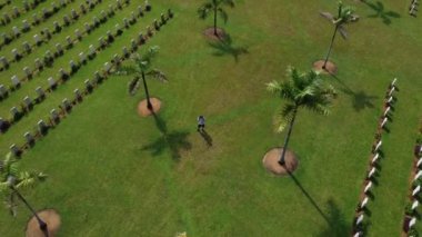 Kamu savaş mezarlığı sahasında insansız hava aracı uçuran adam