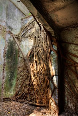 Terk edilmiş ve harap olmuş koloni binasının kapalı bir sahnesi.. 