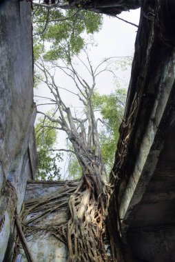 Terk edilmiş ve harap olmuş koloni binasının kapalı bir sahnesi.. 