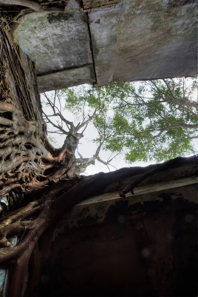 stock image indoor scene of the deserted and dilapidated colonial building. 