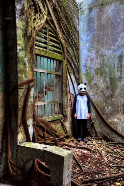 Panda Mascot Interior Deserted Dilapidated Building — Stock Photo, Image