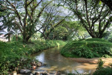 Yeşil sessiz patika yeşillik gölgelik arazi boyunca