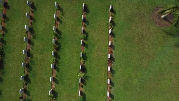 马来西亚佩拉克 2023年4月18日 泰平战争公墓是日本入侵马来亚期间阵亡的盟军人员在泰平Bukit Larut的最后安息之所 — 图库视频影像