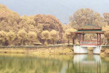 Göl kenarındaki yeşilliğin kızılötesi görüntüsü