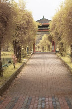 Göl kenarındaki yeşilliğin kızılötesi görüntüsü