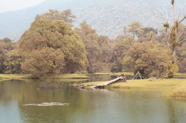 Göl kenarındaki yeşilliğin kızılötesi görüntüsü
