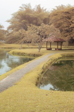 Göl kenarındaki yeşilliğin kızılötesi görüntüsü