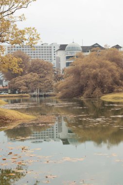 Göl kenarındaki yeşilliğin kızılötesi görüntüsü