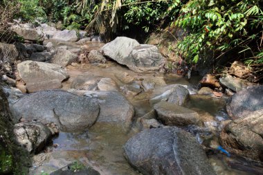 Kayalık nehir deresinin aşağısına bakan manzara. 