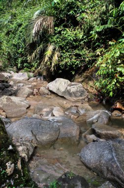 Kayalık nehir deresinin aşağısına bakan manzara. 