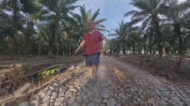 Erkek modelin hava görüntüsü. Yağ palmiyesi tarlasında yolda yürüyor.  