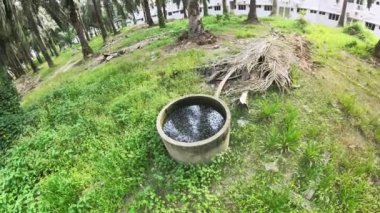 Terk edilmiş ve kullanılmamış beton kuyu, petrol palmiyesi tarlasında..