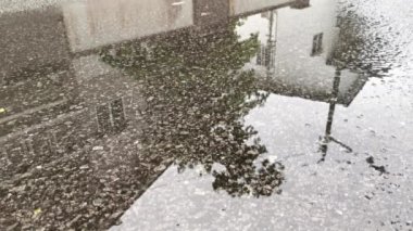 Sokaktaki su birikintisinin üzerinde yürüyorum.