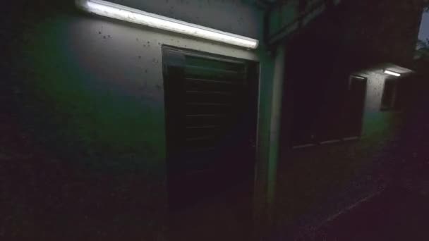 成群的阿拉茨昆虫被巷子门廊的室外荧光灯所吸引 — 图库视频影像