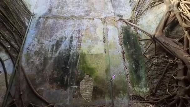 Adegan Cuplikan Dalam Ruangan Dari Bangunan Kolonial Yang Gelap Dan — Stok Video