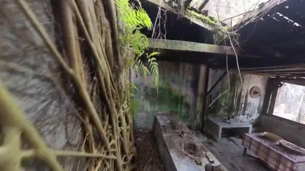 暗い無人島や老朽化した植民地時代の建物の屋内映像 — ストック動画