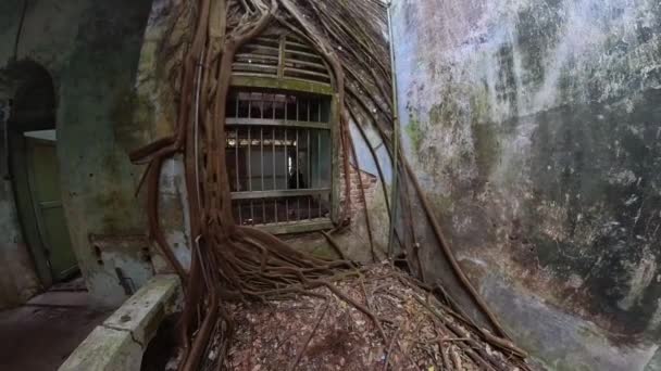 Adegan Cuplikan Dalam Ruangan Dari Bangunan Kolonial Yang Gelap Dan — Stok Video