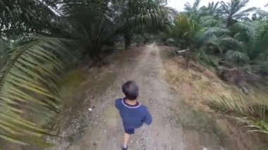 Yağ palmiyesi tarlasında yürüyen adam modeli.  