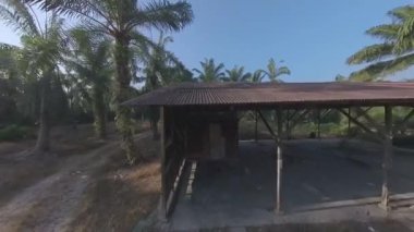 Çiftlikteki terk edilmiş ahşap barakanın etrafındaki görüntüler..