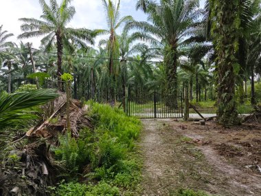 Çiftliğin girişindeki eski paslı kapı.