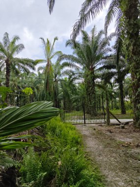 Çiftliğin girişindeki eski paslı kapı.