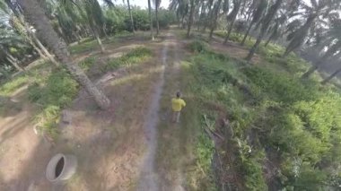 Yağ palmiyesi tarlasında yürüyen adam modeli.  