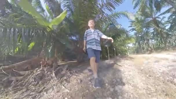 Ανδρικό Μοντέλο Που Περπατάει Κατά Μήκος Του Μονοπατιού Στη Φυτεία — Αρχείο Βίντεο