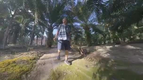 Modelo Del Hombre Que Camina Largo Del Camino Plantación Palma — Vídeos de Stock