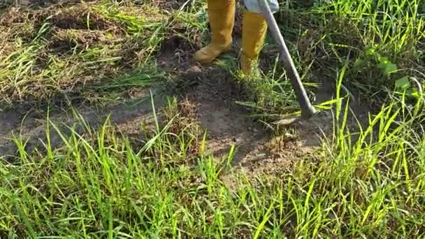Petani Tidak Dikenal Mencangkul Rumput Dan Rumput Lapangan — Stok Video