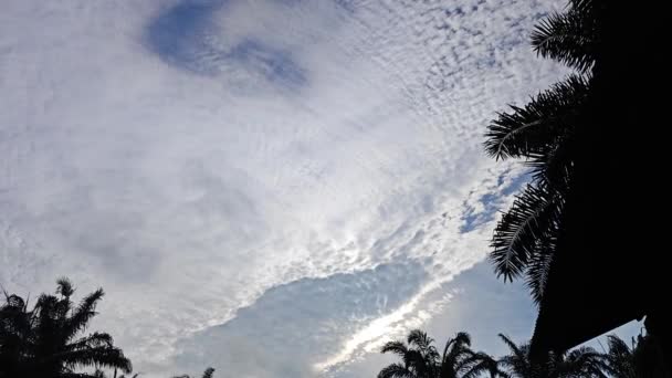 Στο Δρόμο Κοιτάζοντας Ψηλά Πρωί Μπλε Συννεφιασμένο Ουρανό Κατά Μήκος — Αρχείο Βίντεο