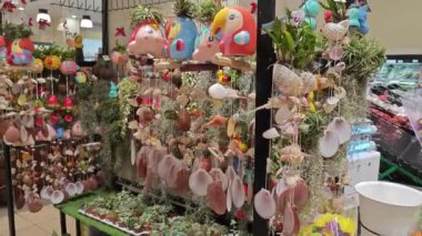 Perak, Malezya. 15 Haziran 2023: Taze dekoratif tilland hava bitkilerinin çeşitleri ve bebek kaktüs Aeon Çiçek tezgahı süpermarketinde sergileniyor ve satılıyor, Sri Manjung. 
