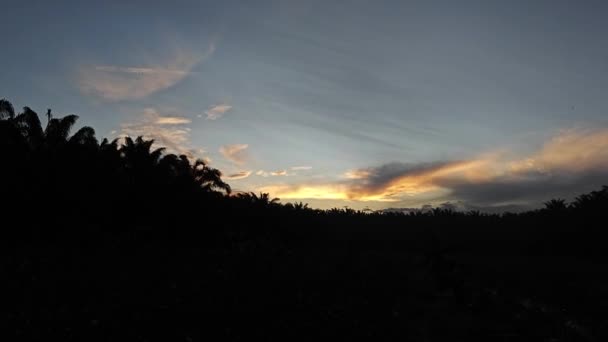 Дивлячись Ранкове Небо Між Синьою Золотою Годинами — стокове відео