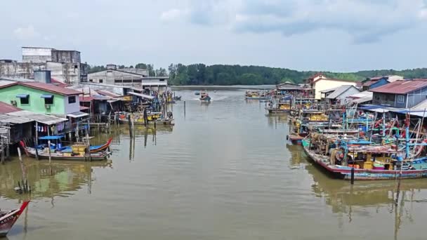 Perak Malezya Haziran 2023 Kuala Sepetang Taiping Deki Kıyı Mangrov — Stok video