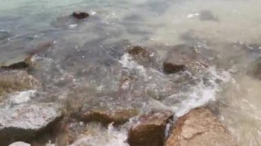 Çöpler kumlu sahilde kaldı.